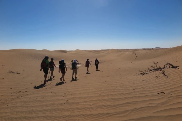 Desert marocain, vallée du Draâ