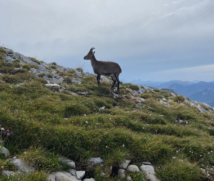 Une immersion naturaliste exceptionnelle