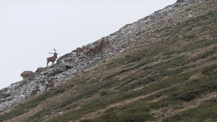 Pourquoi une immersion nature pour CODIR ?