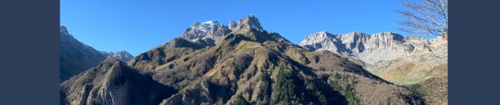 stratégie managériale nature